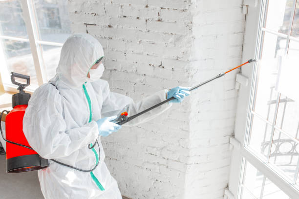 Best Forensic Mold Investigation in Barnhart, MO